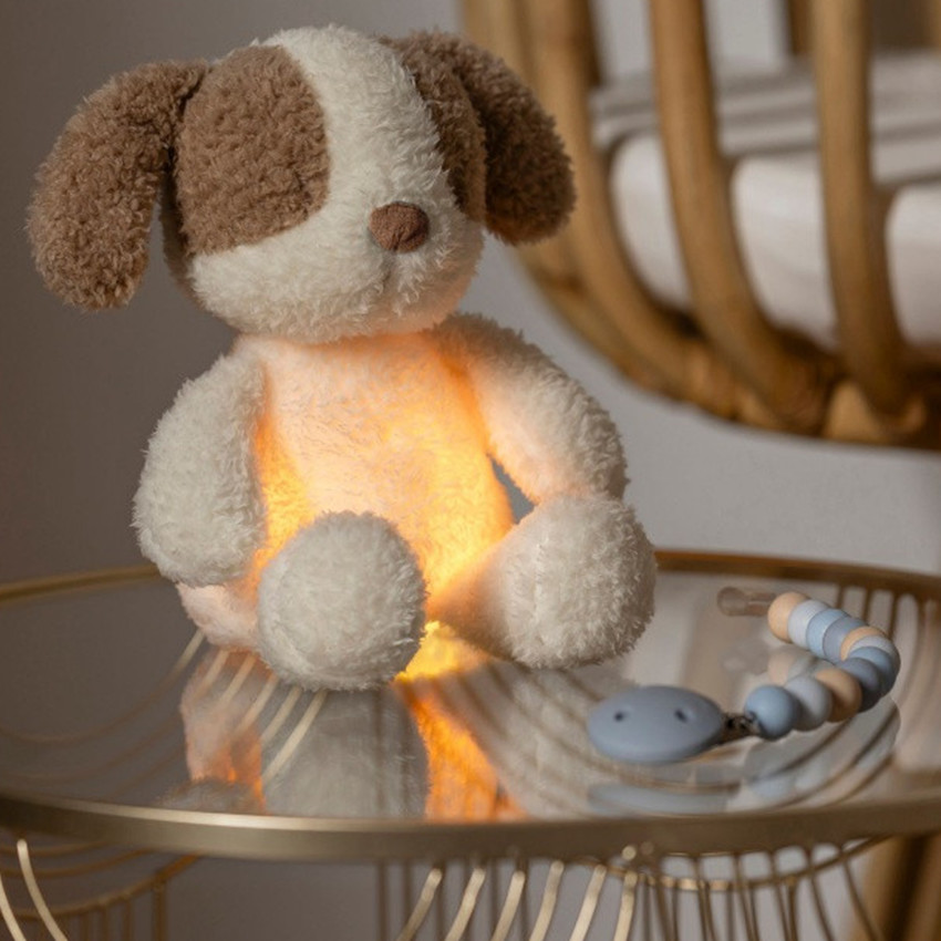 Veilleuse peluche chien - Teddy - Vanille 