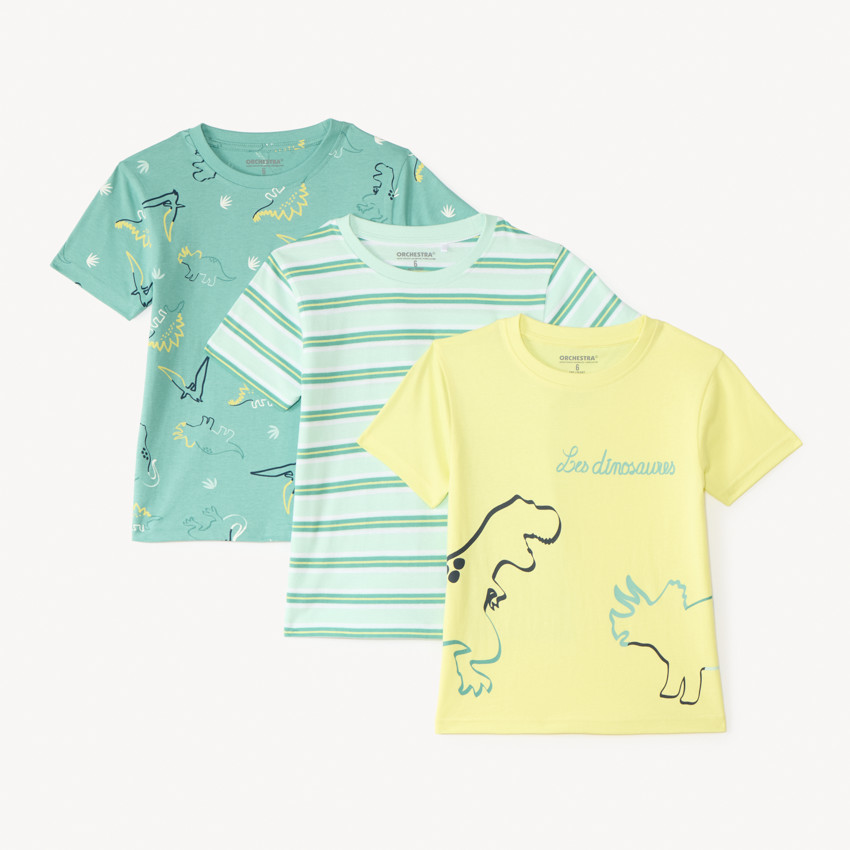 Lot de 3 t-shirts manches courtes motif dinosaures pour garçon
