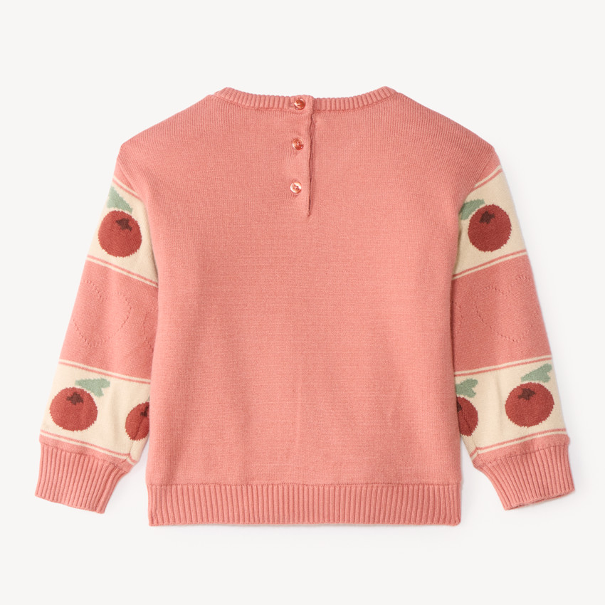 Pull jacquard doublé en velours bébé fille motif baies 