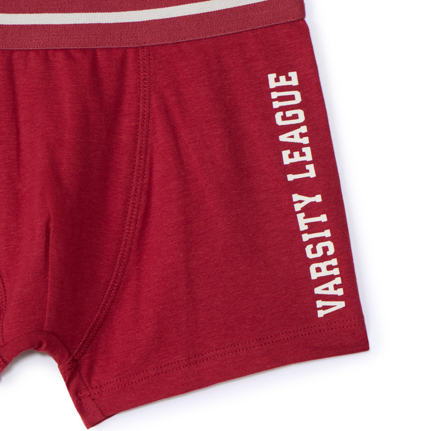 Lot de 5 boxers rayés et unis pour garçon 