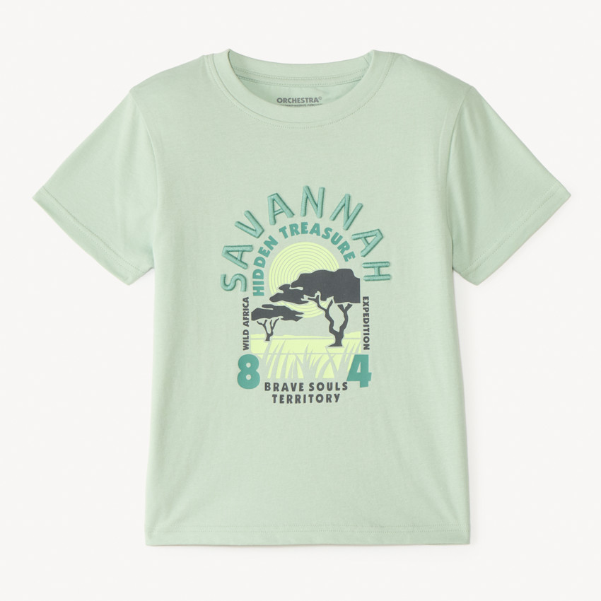 T-shirt manches courtes uni print et broderie estival fantaisie pour garçon