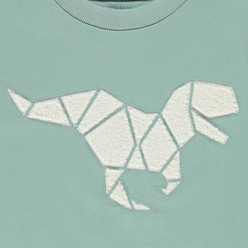 Ensemble sweat patch bouclettes T-Rex + jogging pour garçon 