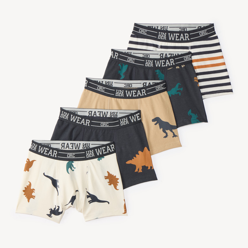 Lot de 5 boxers motifs dinosaure pour garçon