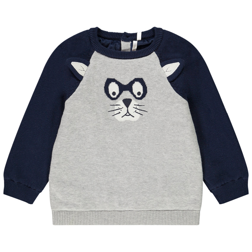 Pull ludique en tricot raton laveur et doublure en velours pour bébé garçon 