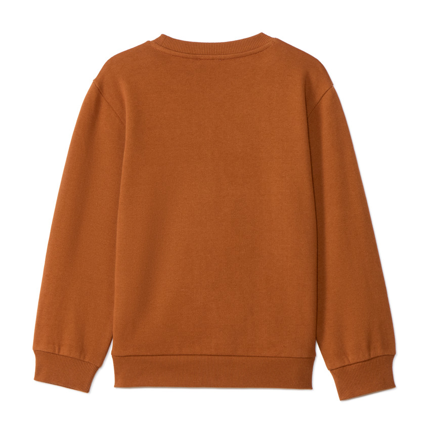 Sweat molleton avec broderie fantaisie pour garçon  