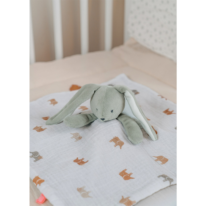Doudou Verdi Jour & Nuit 