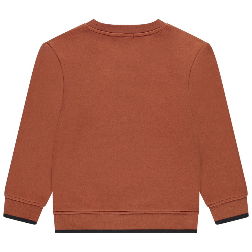 Sweat en molleton et contrecolle velours + broderie pour garçon 