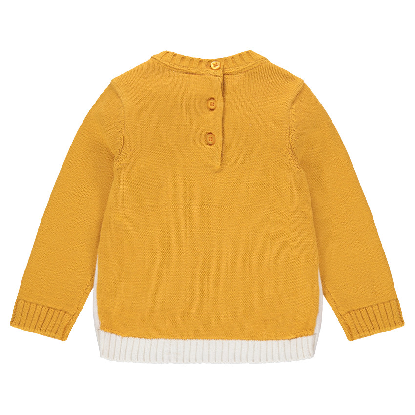 Pull en tricot bicolore avec détail visage en jacquard 
