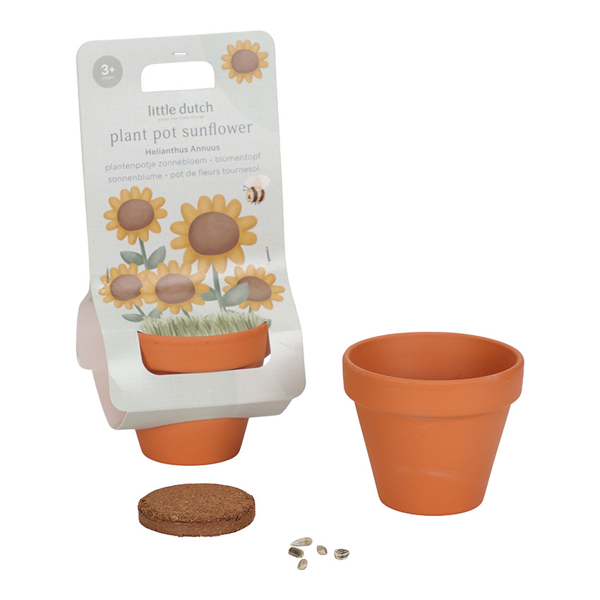Kit de plantation de tournesol 