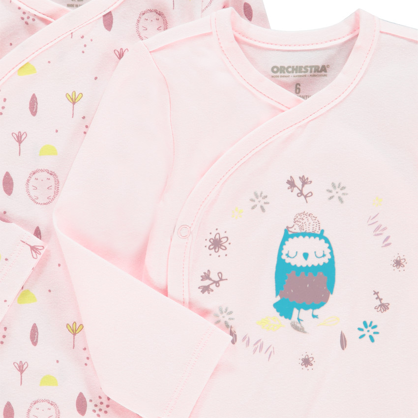 Lot de 2 bodies manches longues en coton pour bébé fille 