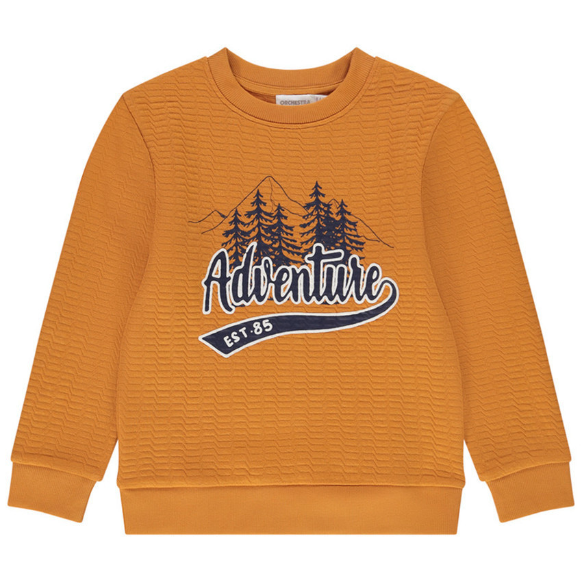 Sweat en molleton print fantaisie pour garçon 