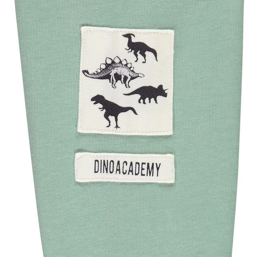 Ensemble jogging molleton motifs dinos pour garçon 