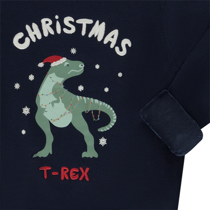 Pull dinosaure garcon sales