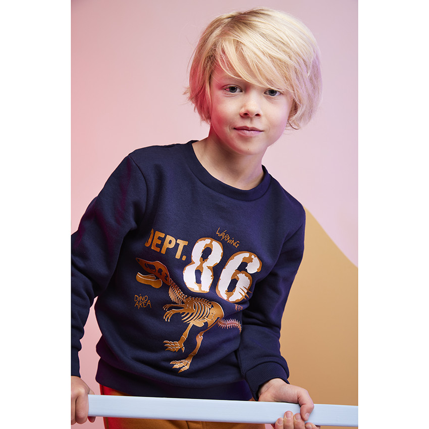 Ensemble jogging 2 pièces print T-rex pour garçon 