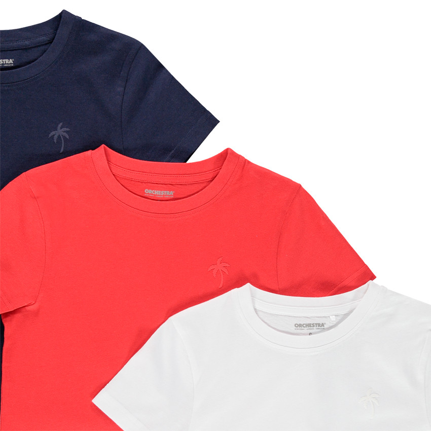 Lot de 3 t-shirts manches courtes print palmier pour garçon 