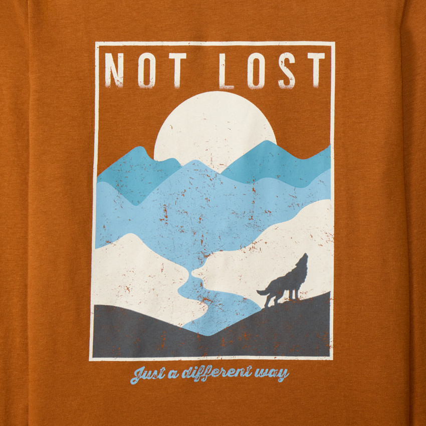 Lot de 4 t-shirts manches longues fantaisie pour garçon 