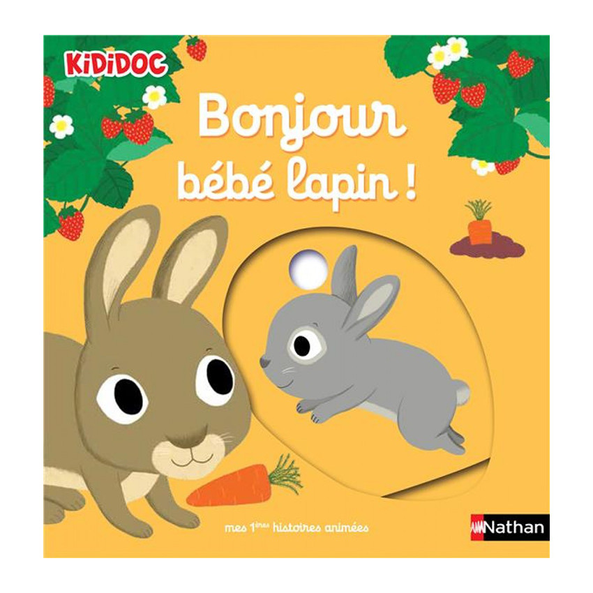 Livre Bonjour bébé lapin  