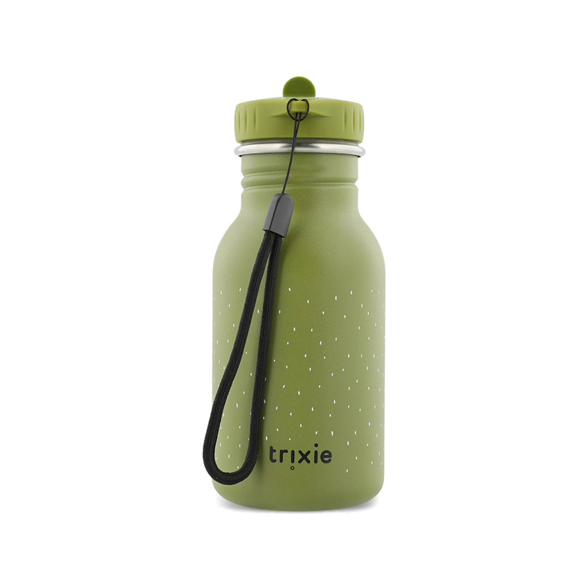 Gourde en acier inoxydable Mr Dino 350ml 