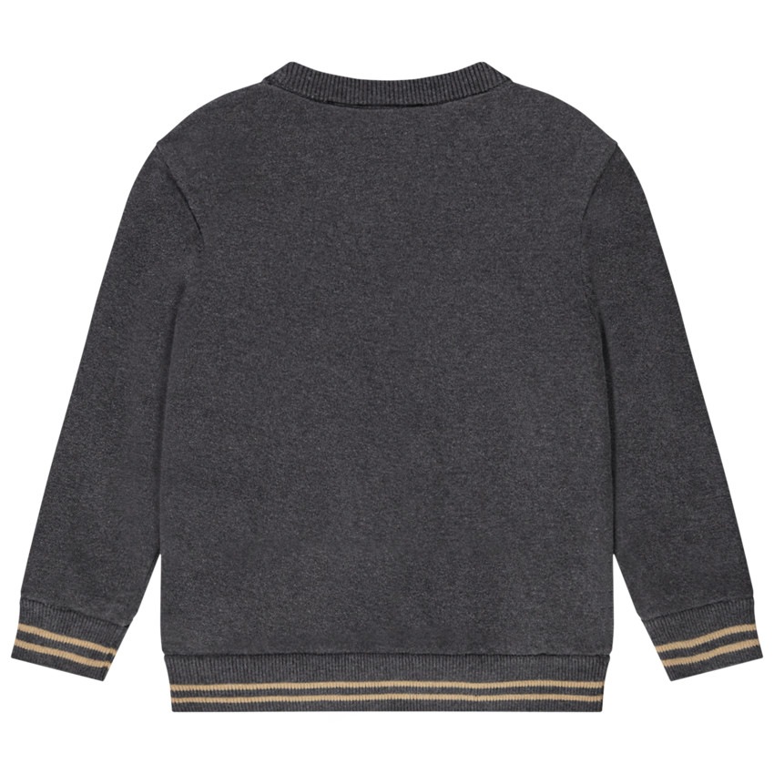 Pull en tricot print et badges brodés Looney Tunes pour garçon 
