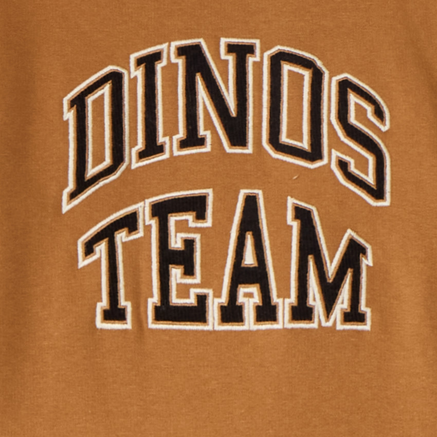 Ensemble sweat de jogging garçon "Dinos Team" 