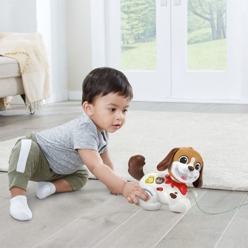 Toutou 1,2,3 Promène-moi 