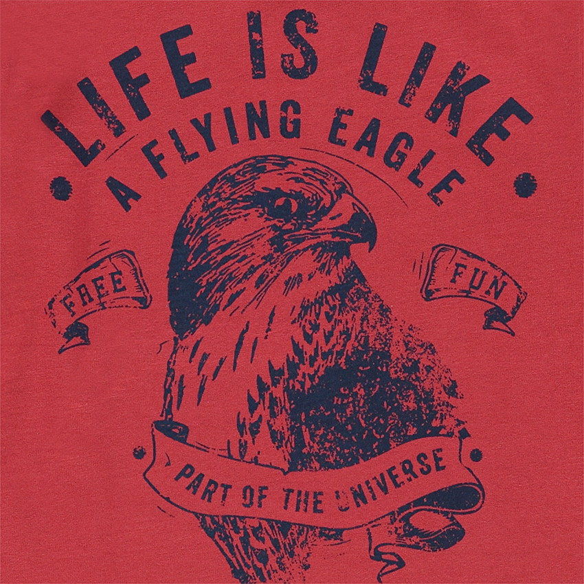 Tee-shirt manches longues en jersey avec aigle printé 