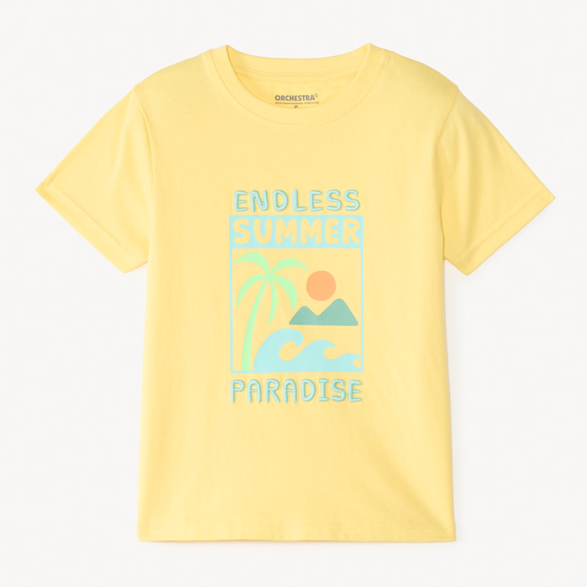 T-shirt manches courtes uni print et broderie estival fantaisie pour garçon 