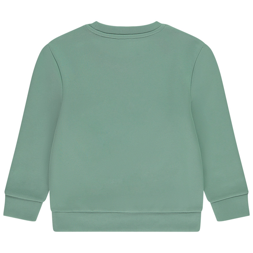 Sweat molleton print fantaisie pour garçon 