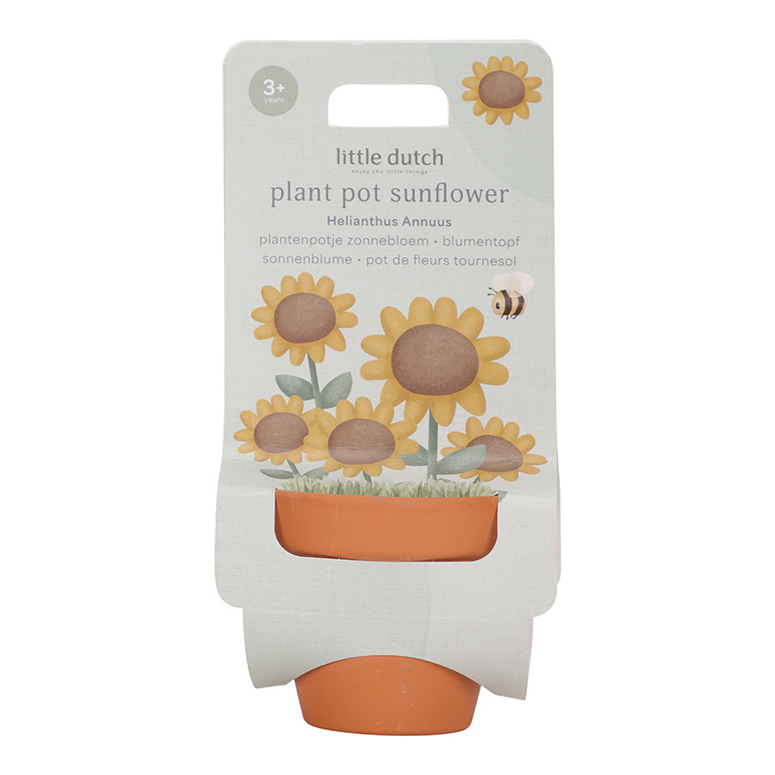 Kit de plantation de tournesol 