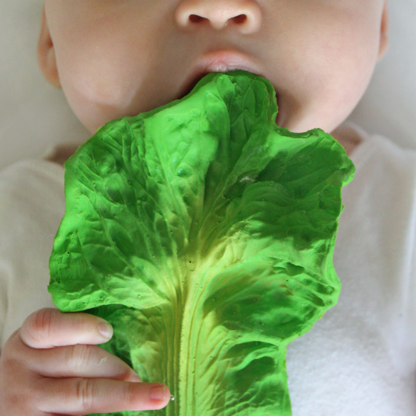 Jouet de dentition en caoutchouc Kendall le chou 