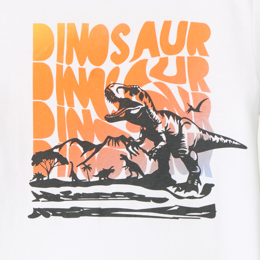 T-shirt manches courtes print fantaisie pour garçon  