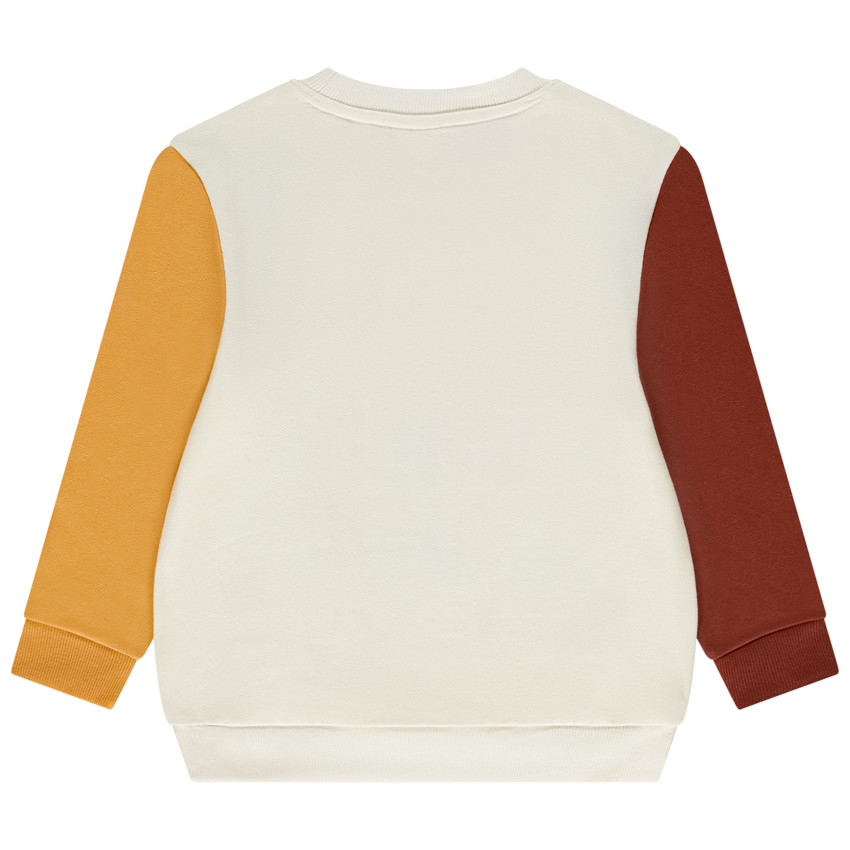 Sweat colorblock et bouclettes Simba Disney pour garçon 