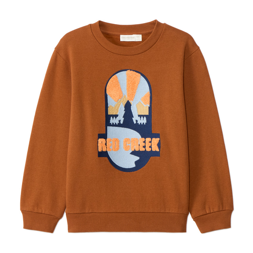 Sweat molleton avec broderie fantaisie pour garçon