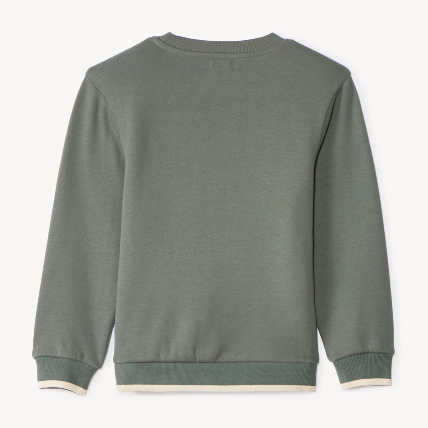 Sweat molleton avec animal surpiqué pour garçon 