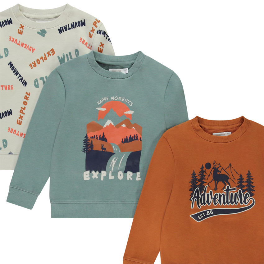 Lot de 3 sweats en molleton print fantaisie pour garçon 