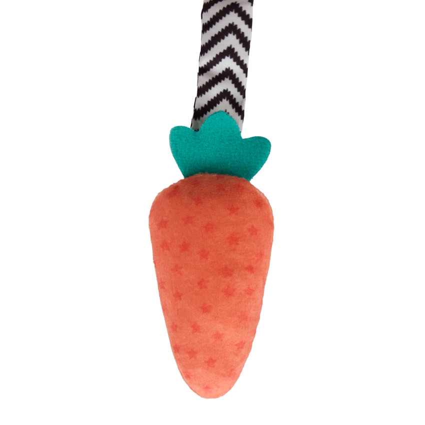 Spirale d'activités Sacha la tortue 