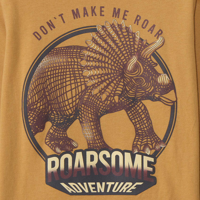 T-shirt manches longues print dinosaure pour garçon  