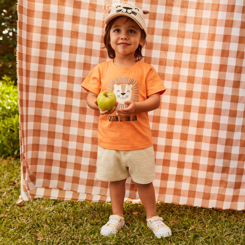 T-shirt manches longues print Lion pour bébé garçon