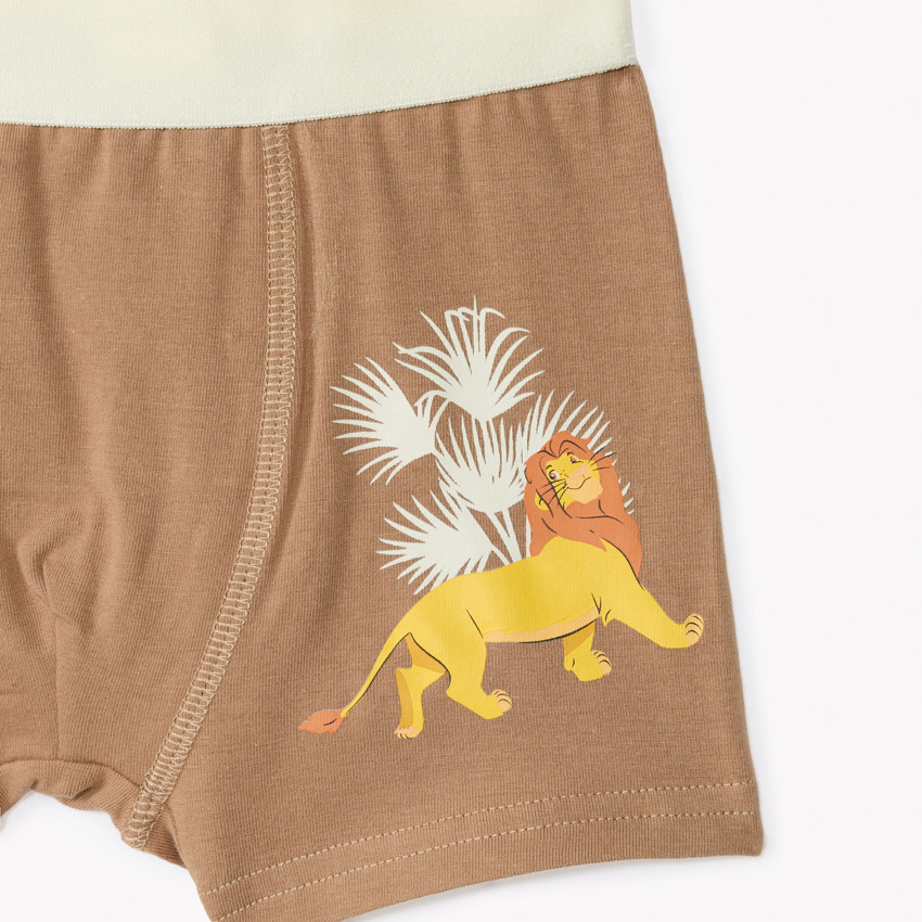 Lot de 5 boxers Roi Lion Disney pour garçon 