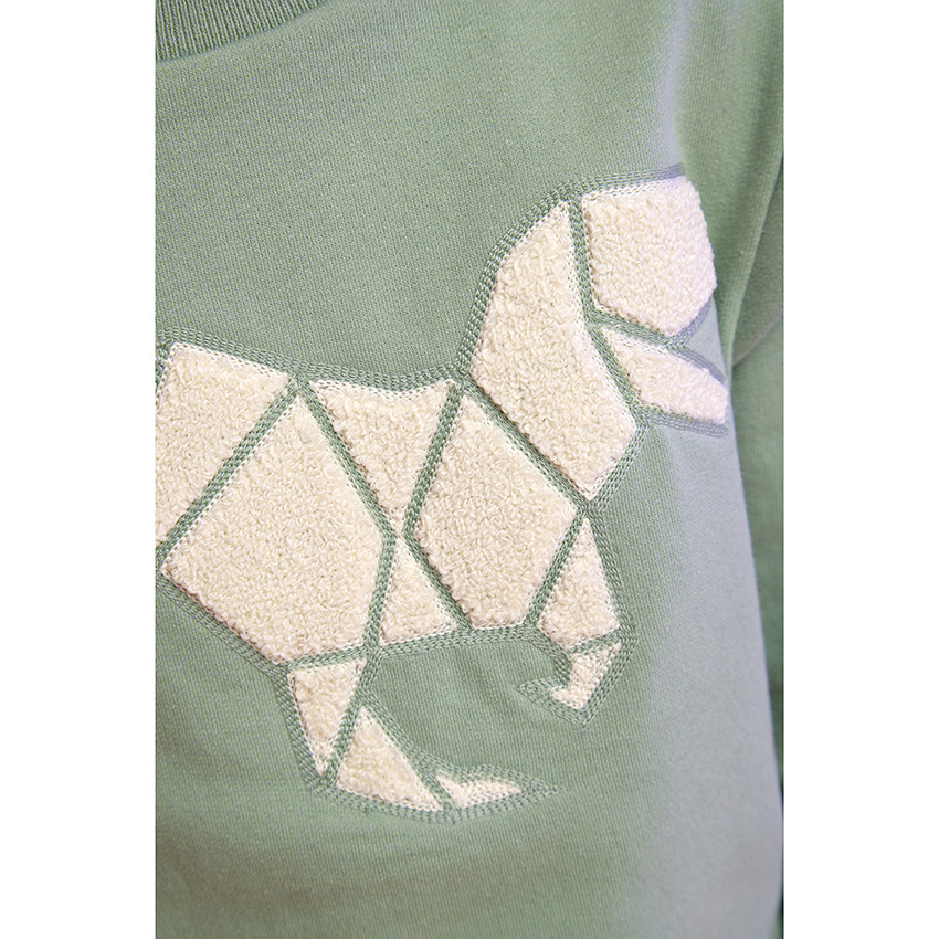 Ensemble sweat patch bouclettes T-Rex + jogging pour garçon 