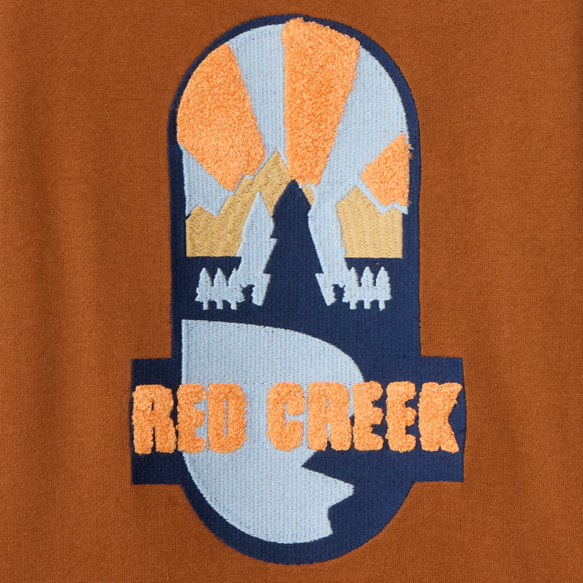 Sweat molleton avec broderie fantaisie pour garçon  