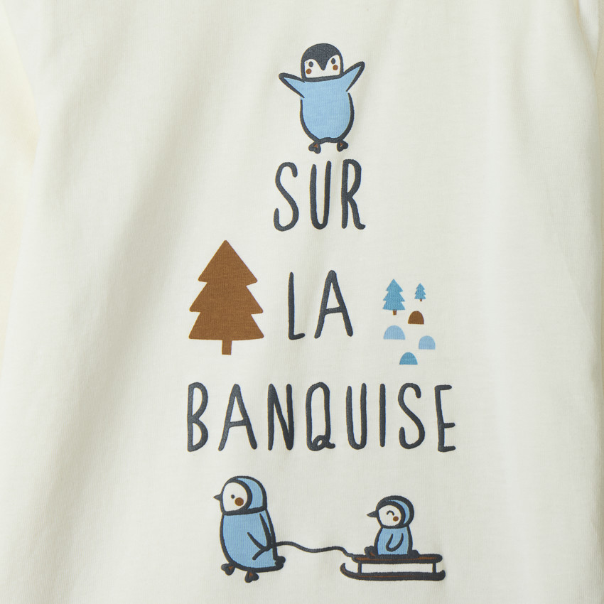 Lot de 4 t-shirts manches longues motifs pingouins pour bébé garçon 