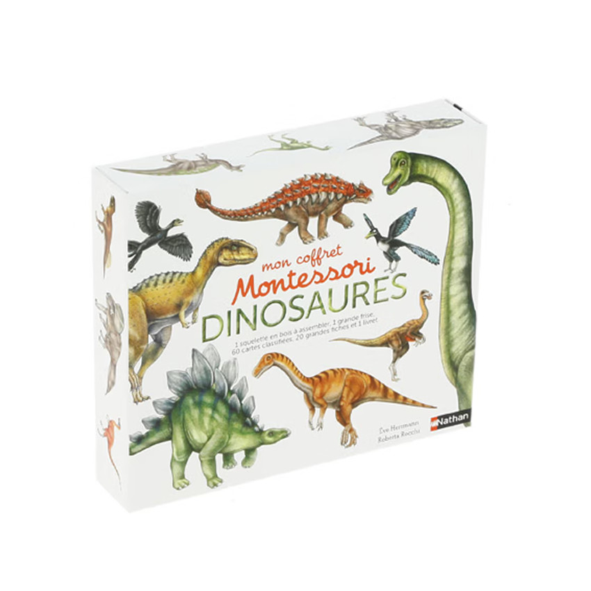 Coffret des dinosaures 