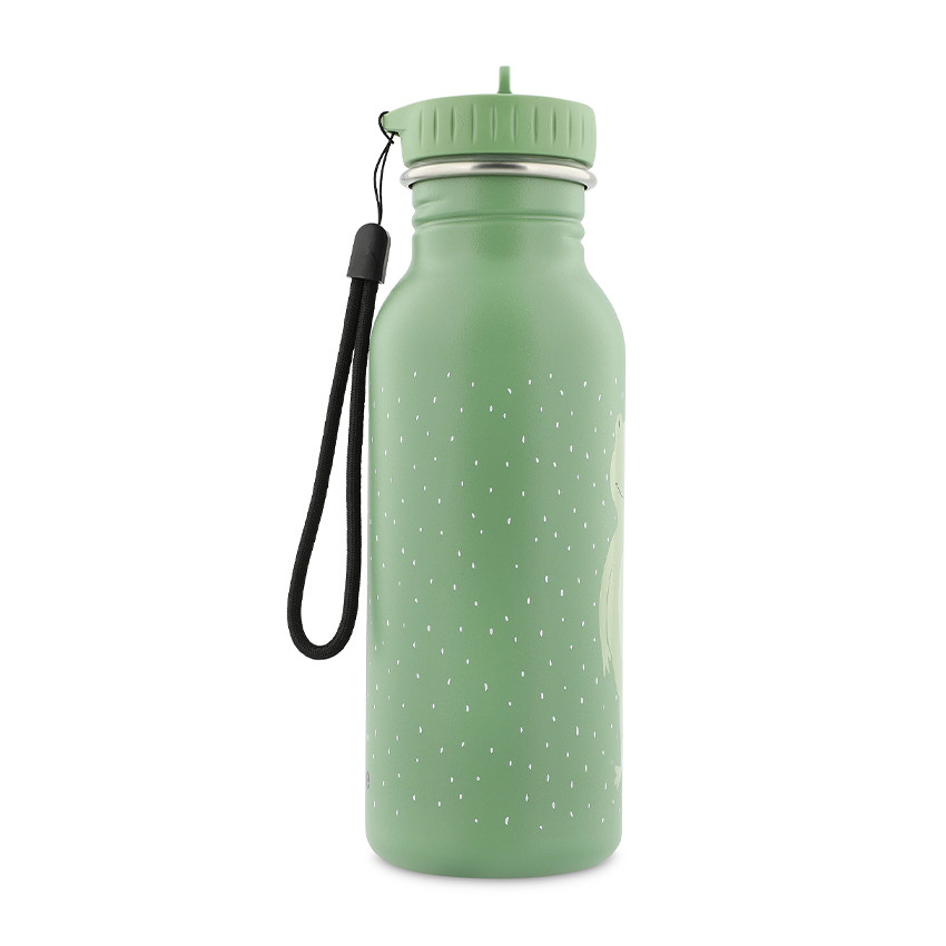 Gourde Mr. Frog 500 ml 