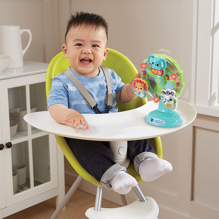 Jouet La grande roue des Baby Loulous 