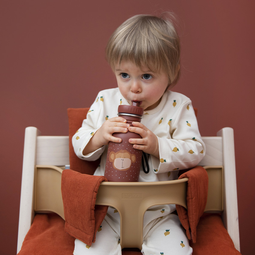 Gourde Mr. Monkey 350 ml 