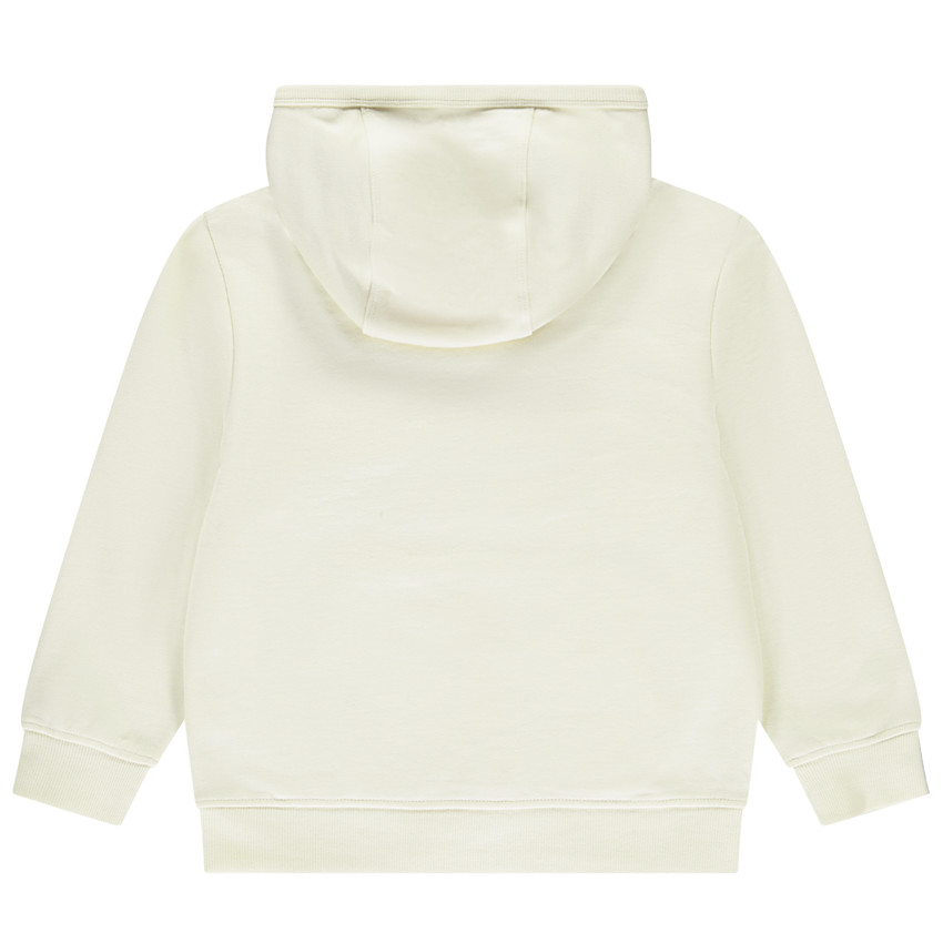 Sweat à capuche et poche print New Yrok pour garçon 