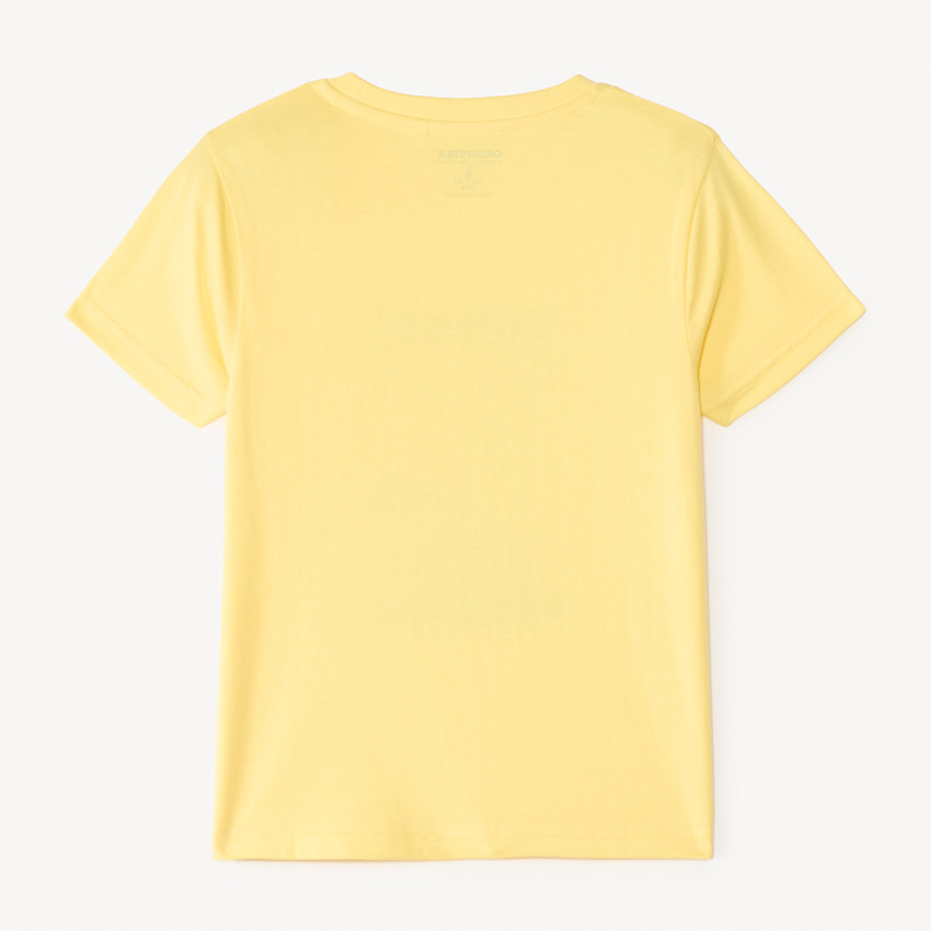 T-shirt manches courtes uni print et broderie estival fantaisie pour garçon 