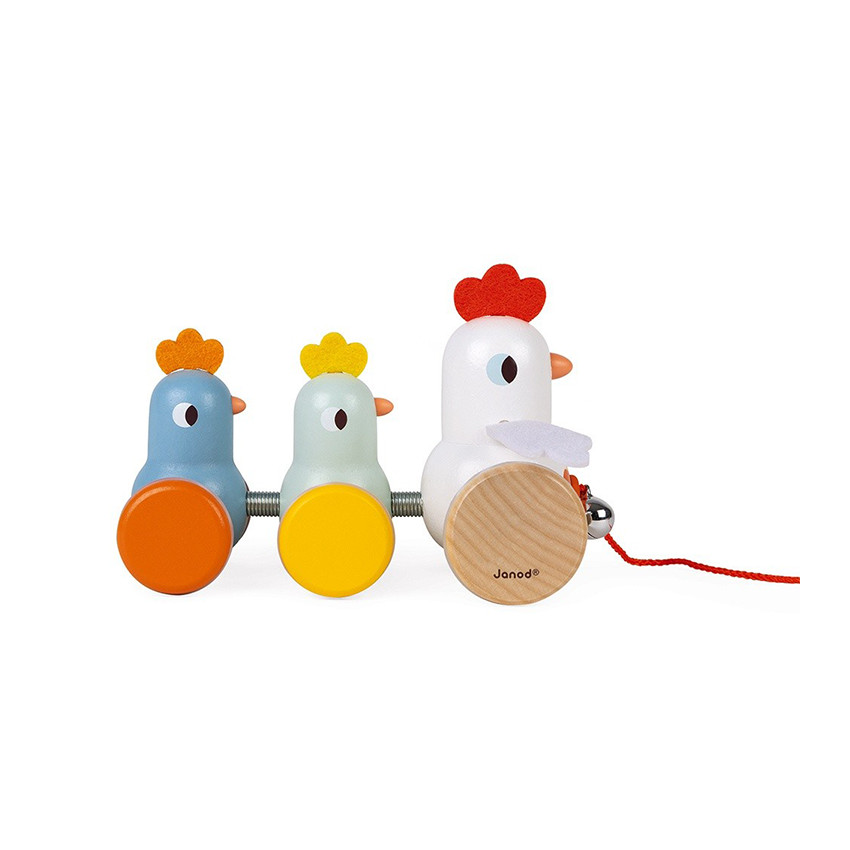 Poule et Poussins à Promener Main Poule et Poussins à Promener