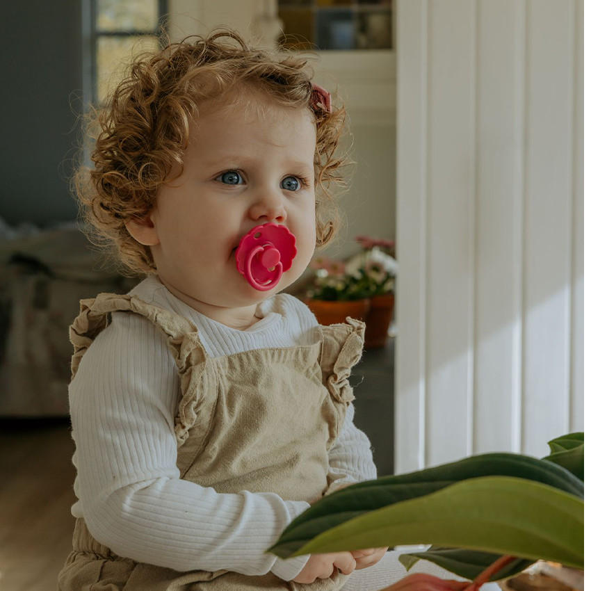 Sucette latex T2 Daisy fuchsia 